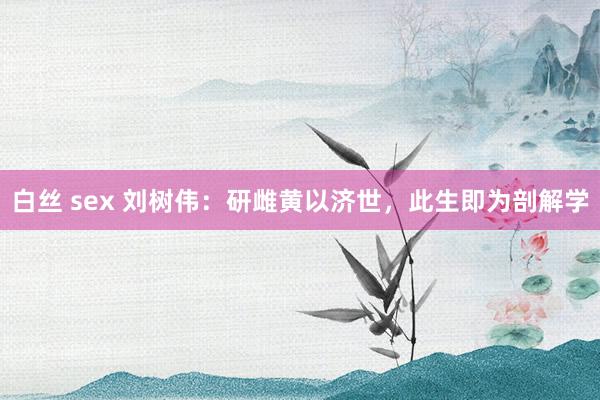 白丝 sex 刘树伟：研雌黄以济世，此生即为剖解学