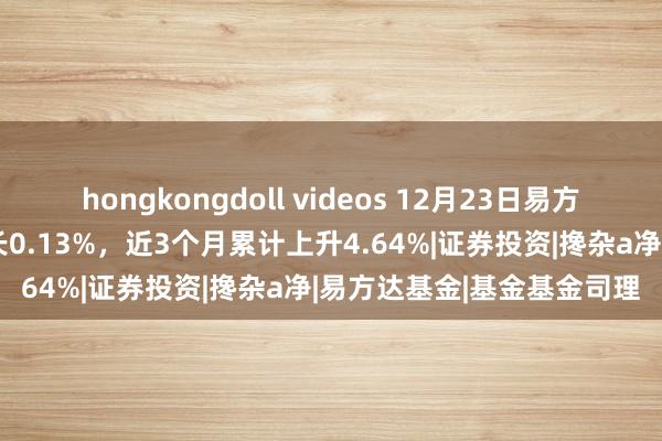 hongkongdoll videos 12月23日易方达释怀回馈搀杂A净值增长0.13%，近3个月累计上升4.64%|证券投资|搀杂a净|易方达基金|基金基金司理