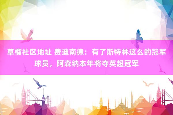 草榴社区地址 费迪南德：有了斯特林这么的冠军球员，阿森纳本年将夺英超冠军