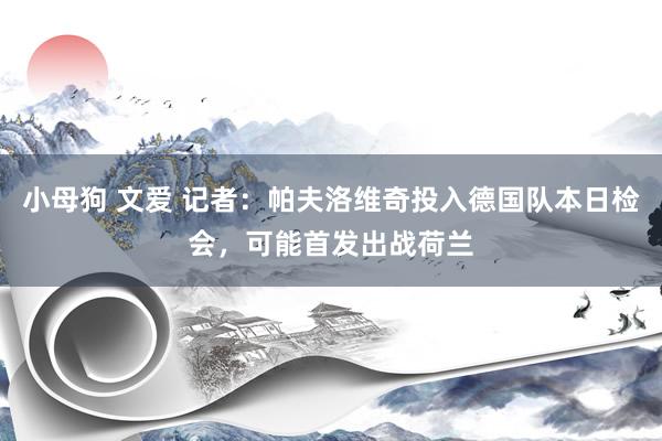 小母狗 文爱 记者：帕夫洛维奇投入德国队本日检会，可能首发出战荷兰