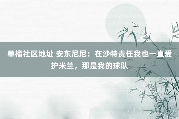 草榴社区地址 安东尼尼：在沙特责任我也一直爱护米兰，那是我的球队
